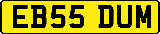 EB55DUM