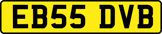 EB55DVB