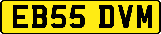 EB55DVM