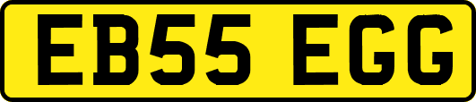 EB55EGG