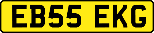 EB55EKG