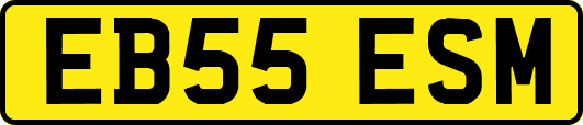 EB55ESM