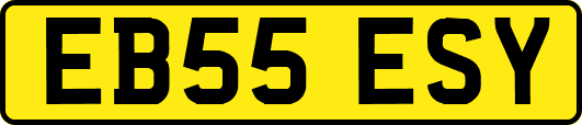 EB55ESY