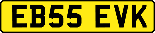 EB55EVK