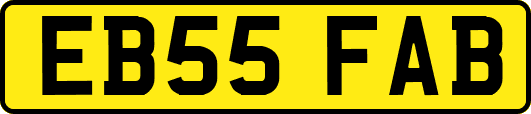 EB55FAB