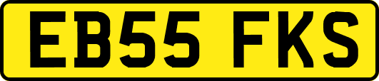 EB55FKS