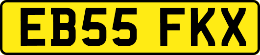 EB55FKX