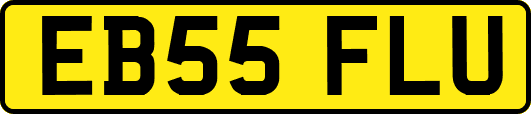 EB55FLU