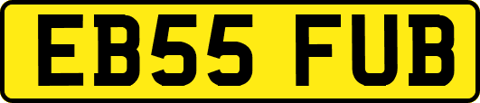 EB55FUB