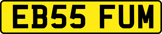 EB55FUM