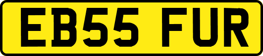 EB55FUR