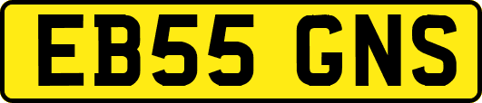 EB55GNS