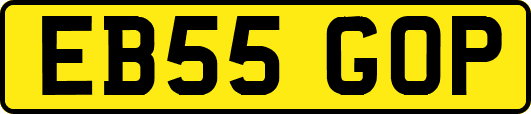 EB55GOP