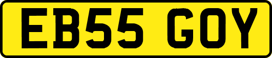 EB55GOY
