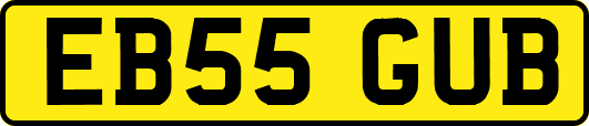 EB55GUB