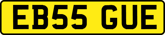 EB55GUE