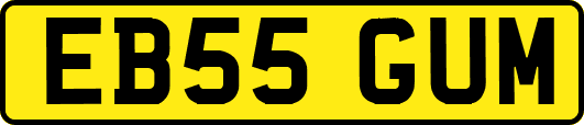 EB55GUM