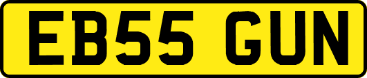 EB55GUN