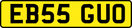 EB55GUO