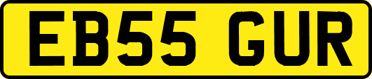 EB55GUR