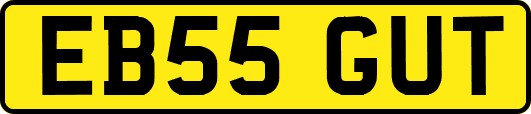 EB55GUT