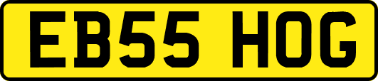 EB55HOG