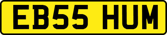 EB55HUM