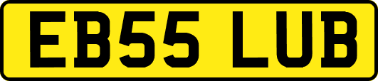 EB55LUB