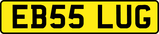 EB55LUG
