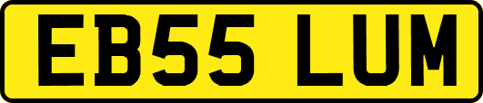 EB55LUM