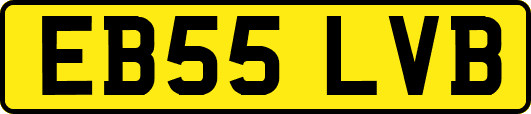 EB55LVB