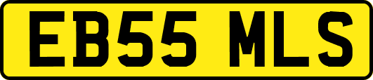 EB55MLS