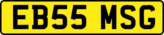 EB55MSG