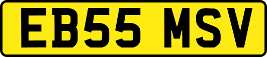 EB55MSV