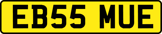 EB55MUE