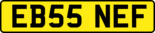 EB55NEF