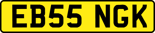 EB55NGK