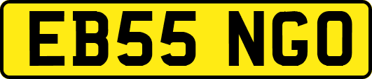 EB55NGO