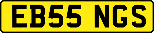 EB55NGS