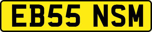 EB55NSM