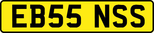 EB55NSS