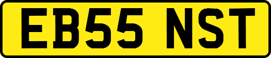 EB55NST