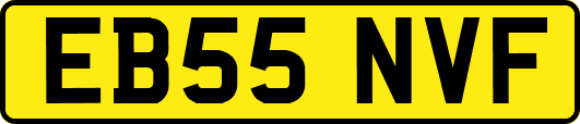 EB55NVF
