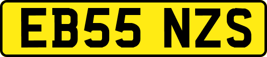 EB55NZS