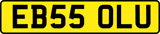 EB55OLU