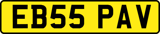 EB55PAV