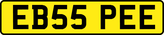 EB55PEE