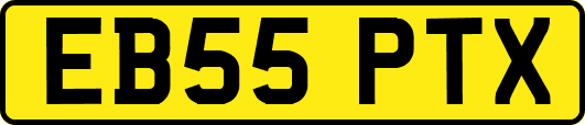 EB55PTX