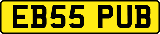 EB55PUB