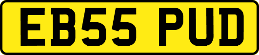 EB55PUD